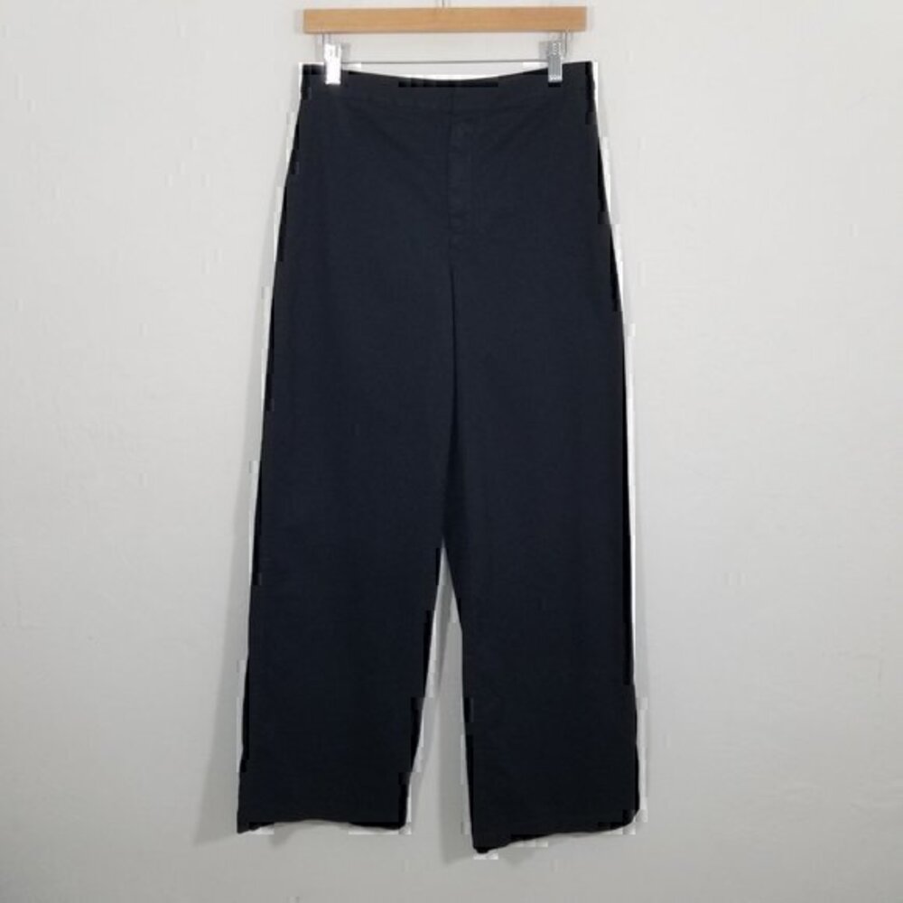 Express Cropped Wide Leg High Rise Stretch Pants Black Size 6